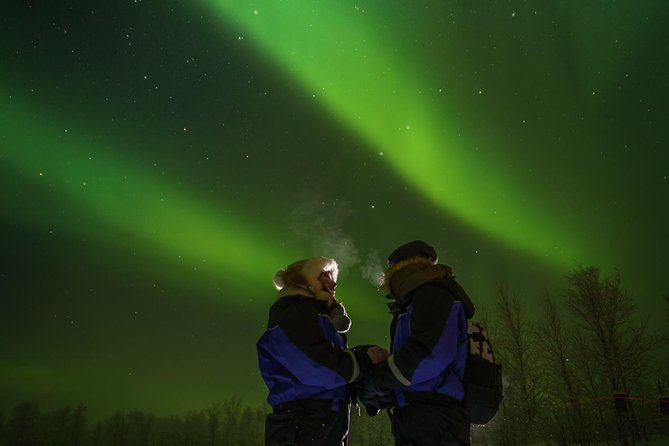 From Saariselkä: Northern lights tour to Lake Inari, incl. dinner - How the five-hour schedule feels