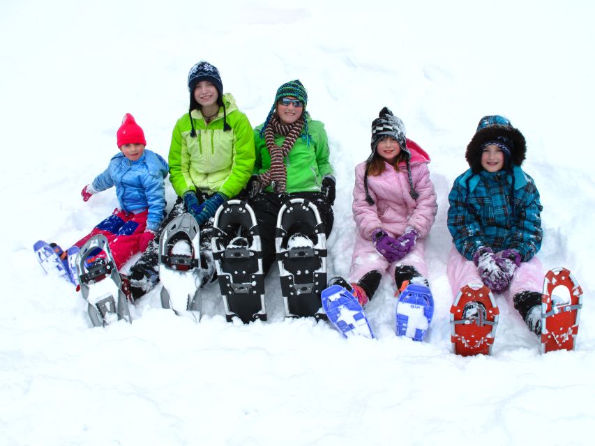From Sirkka: Levi Summit Guided Nature Snowshoeing Tour - Key points to know before booking