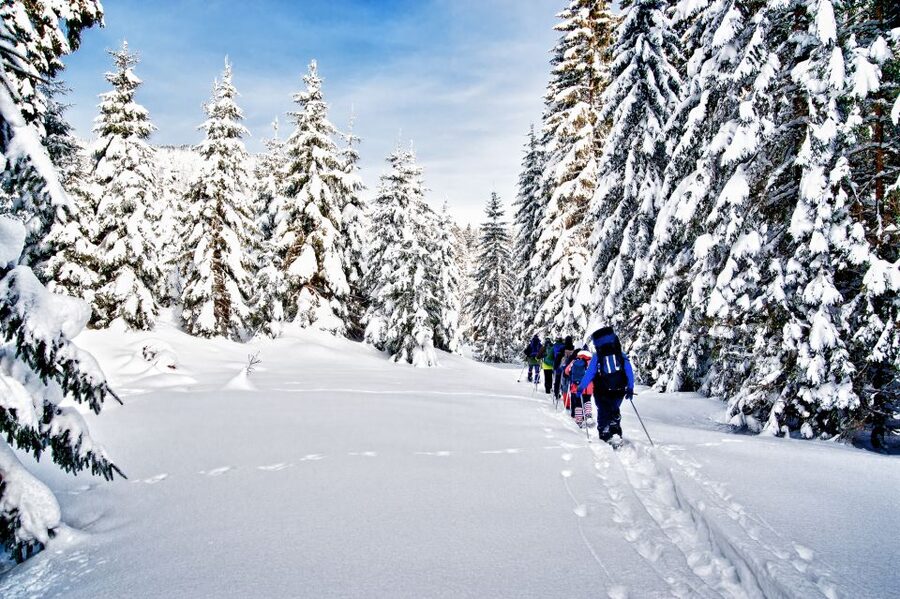 From Sirkka: Levi Summit Guided Nature Snowshoeing Tour - What this two-hour Levi outing is really about