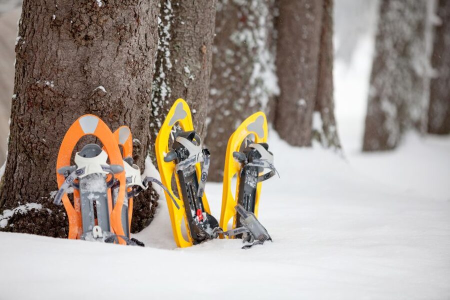 From Sirkka: Levi Summit Guided Nature Snowshoeing Tour - Pickup from Levi hotels and the meeting point