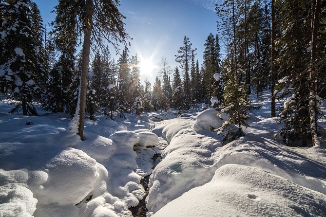 Frozen Waterfalls of Korouoma Canyon tour with Pro Photos & BBQ - Ruskeavirta and the frozen waterfalls