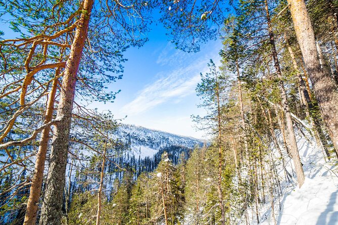 Frozen Waterfalls of Korouoma Canyon tour with Pro Photos & BBQ - The canyon viewpoint and winter scenery