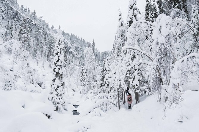 Frozen Waterfalls of Korouoma Canyon tour with Pro Photos & BBQ - Guides who make the cold easier