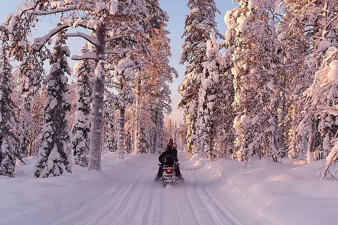 Full Day Snowmobile Safari - Guide service and language expectations