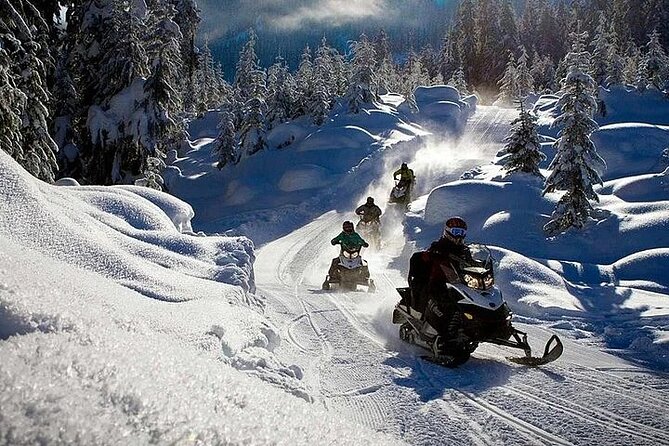 Full Day Snowmobile Safari - Setting out from Rovaniemi’s Arctic Forest
