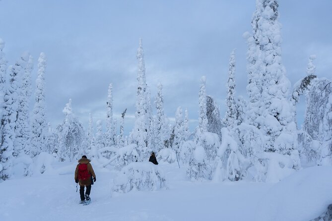 Full-Day Snowshoeing Adventure in Amethyst Mine Pyhä Luosto - Setting out on snowshoes through deep snow
