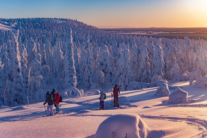 Full-Day Snowshoeing Adventure in Amethyst Mine Pyhä Luosto - How the small group affects the experience