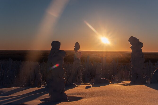Full-Day Snowshoeing Adventure in Amethyst Mine Pyhä Luosto - Is the $250.17 price good value?