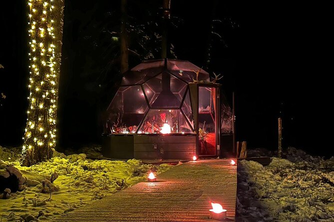 Glass Igloo Campfire Dinner under Northern Lights - Practical advice for a better night