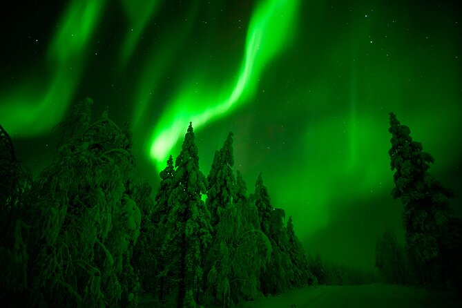 Guaranteed Northern Lights Hunting Adventure in Lapland - Dressing for a night outside