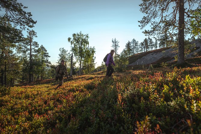 Guided easy hike in Finland deepest gorge in Pyhä-Luosto National Park - What the $80.95 price includes
