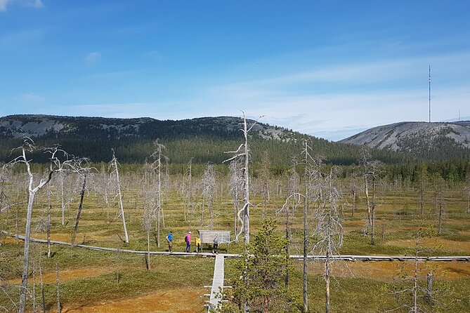 Guided easy hike in Finland deepest gorge in Pyhä-Luosto National Park - Group size, pickup, and practical comfort