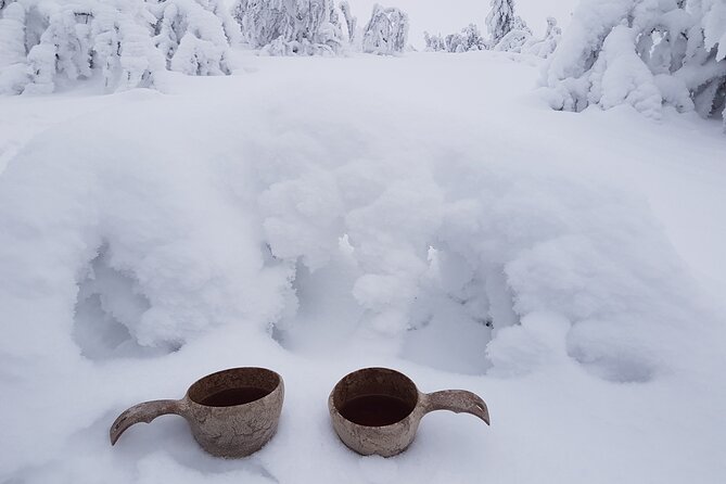 Guided reindeer farm visit and one hour sledge safari - Cold, clothing, and comfort on the sledge