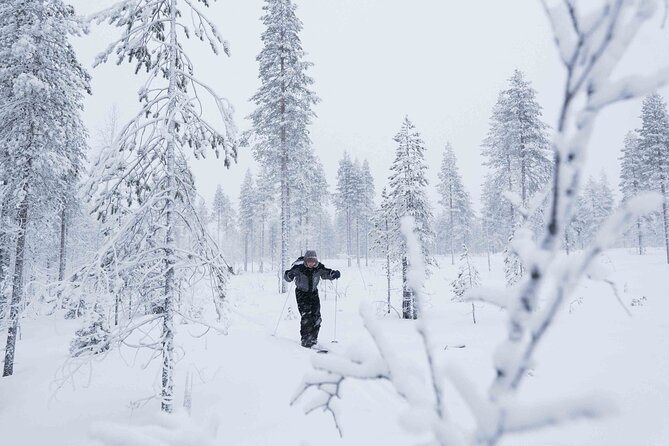 Half-Day Backcountry Skiing Tour in Levi with Photography Guide - What backcountry skiing feels like here