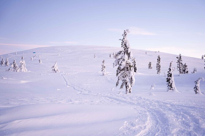Half-Day Backcountry Skiing Tour in Levi with Photography Guide - A small group with real guide attention