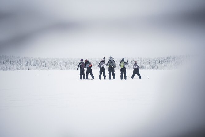 Half-Day Backcountry Skiing Tour in Levi with Photography Guide - Is $124.36 a fair price?
