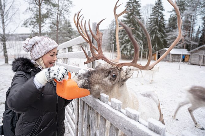 Half-Day Experience in Local reindeer farm in Lapland - How authentic is the farm visit?