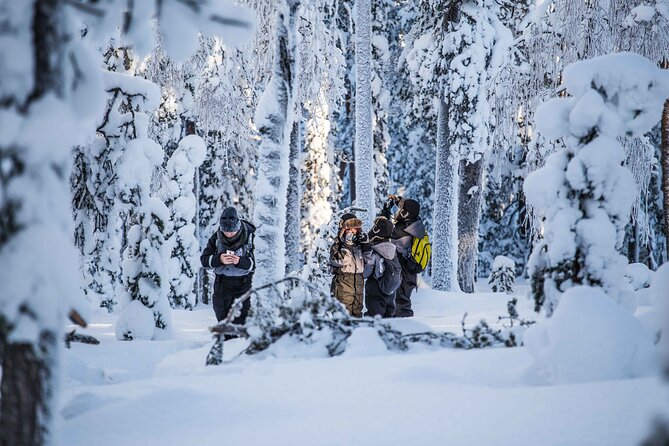 Half Day Guided Tour in the Wilderness of Levi - The laavu fire stop and simple Arctic food