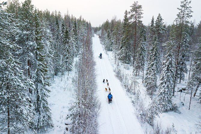 Half-Day Husky Safari and Salmon Ice Fishing Experience - What the dogs add to the experience