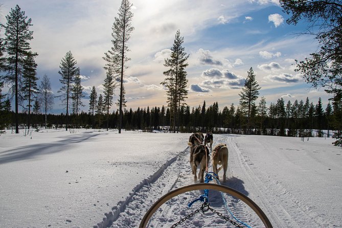 Half-Day Husky Safari and Salmon Ice Fishing Experience - The cold-weather clothing question