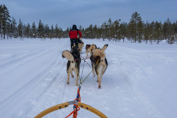 Half-Day Husky Safari and Salmon Ice Fishing Experience - Group size, pickup, and timing