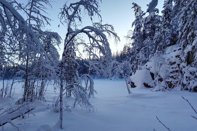Half-Day Nature Adventure to Nuuksio National Park from Helsinki - Key points to know before booking