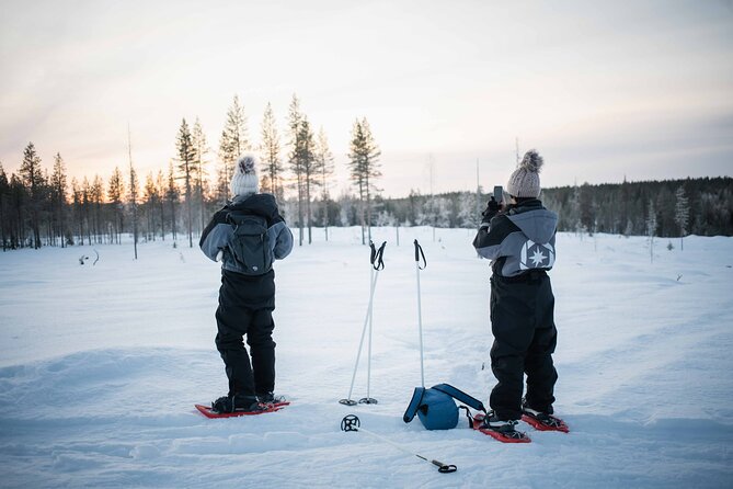 Half Day Snowshoe Hiking Adventure in Levi Lapland - Key things to know before you book
