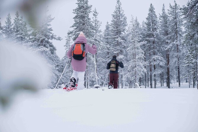 Half Day Snowshoe Hiking Adventure in Levi Lapland - Fire, hot drinks, and snacks in the cold