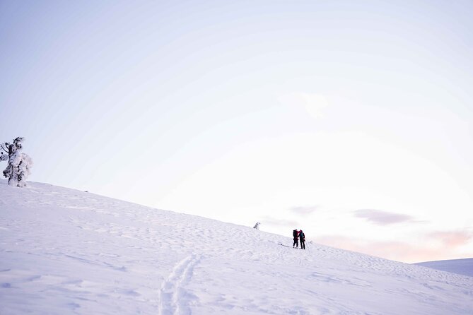 Half Day Snowshoe Hiking Adventure in Levi Lapland - Is $113.79 fair for three hours?