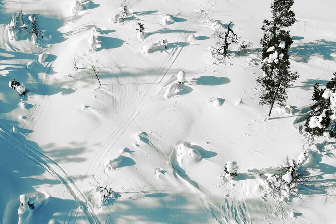 Half Day Snowshoe Hiking Adventure in Levi Lapland - Practical timing, pickup, and weather rules