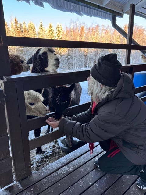 Helsinki: Alpaca Farm Tour with Guided Walk (private) - Guide quality can shape the whole visit