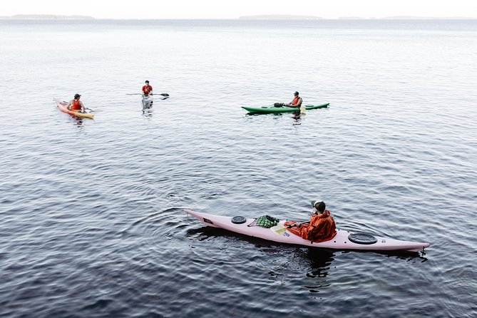 Helsinki by Kayak - The island snack break