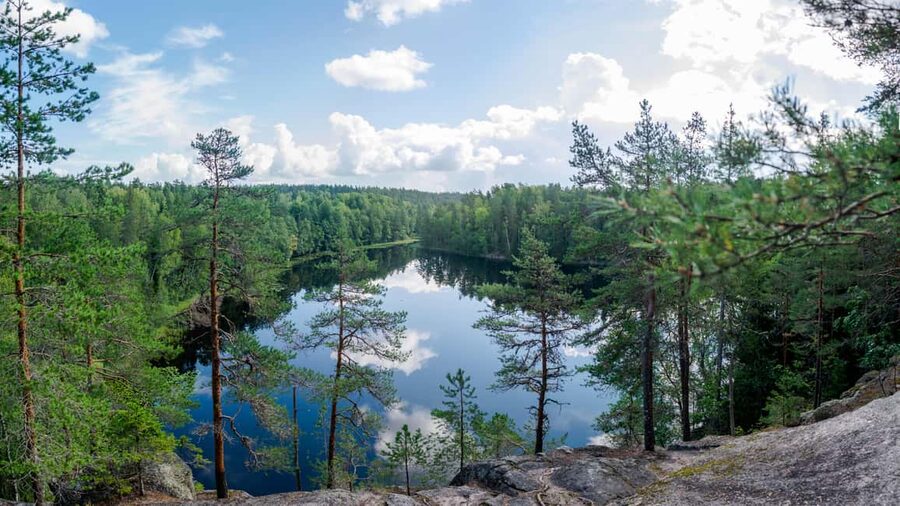 Helsinki: Nuuksio National park hiking with campfire lunch - Who should book this Nuuksio experience?