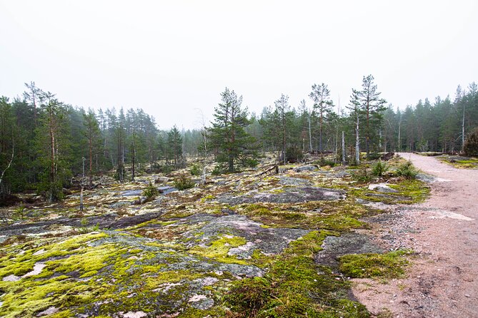 Helsinki: Nuuksio National park hiking with campfire lunch - Professional photos without turning the hike into a photo shoot