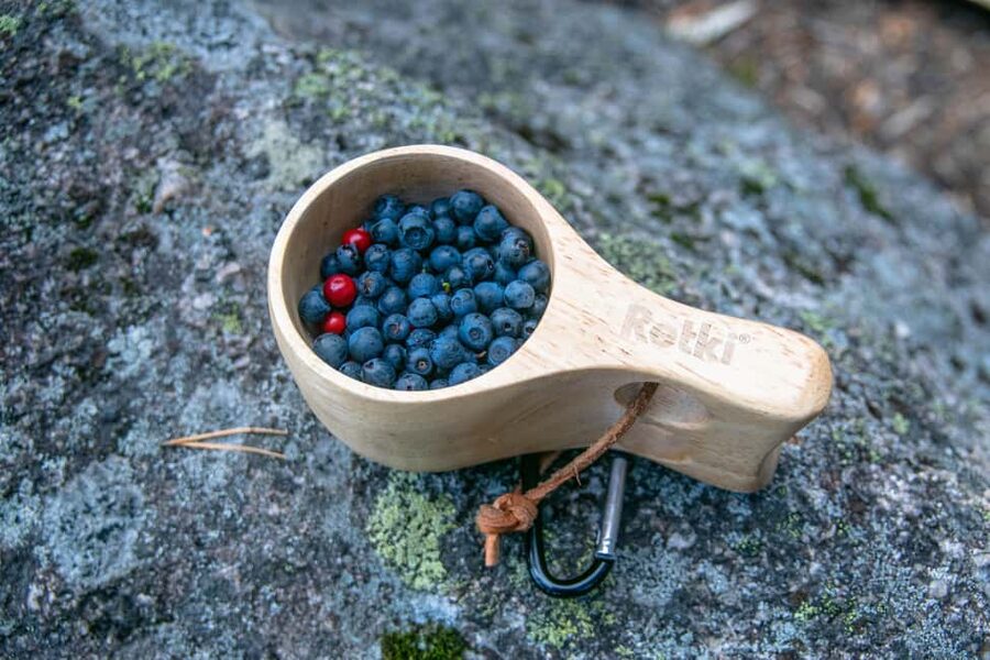 Helsinki: Nuuksio National park hiking with campfire lunch - Practical details for a smoother day