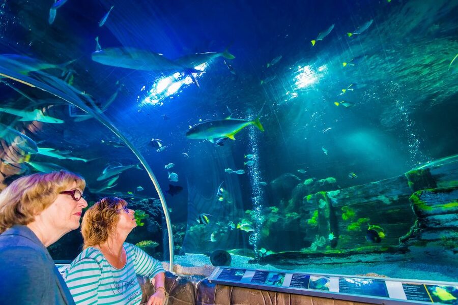 Helsinki: Sea Life Entrance Tickets - Fifty aquariums and 100 species