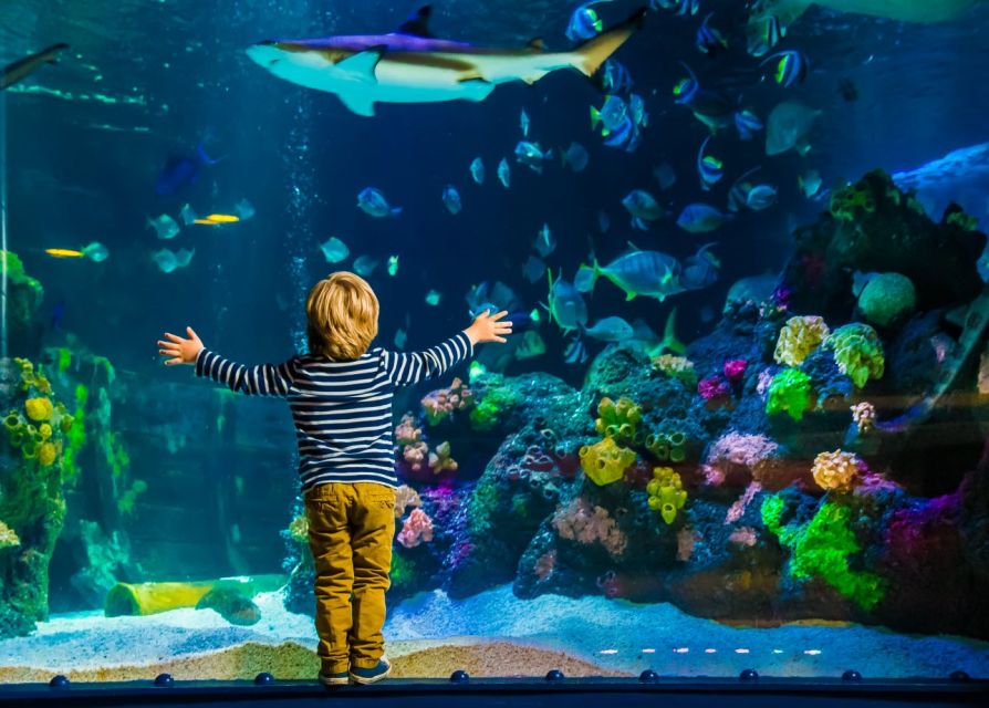 Helsinki: Sea Life Entrance Tickets - The Ocean Tank renovation in early 2026