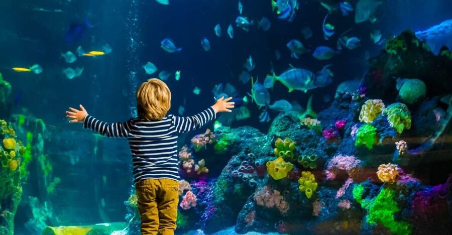 Helsinki: Sea Life Entrance Tickets - How long should you allow?