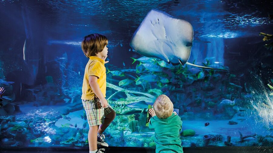 Helsinki: Sea Life Entrance Tickets - The tropical ocean walkway