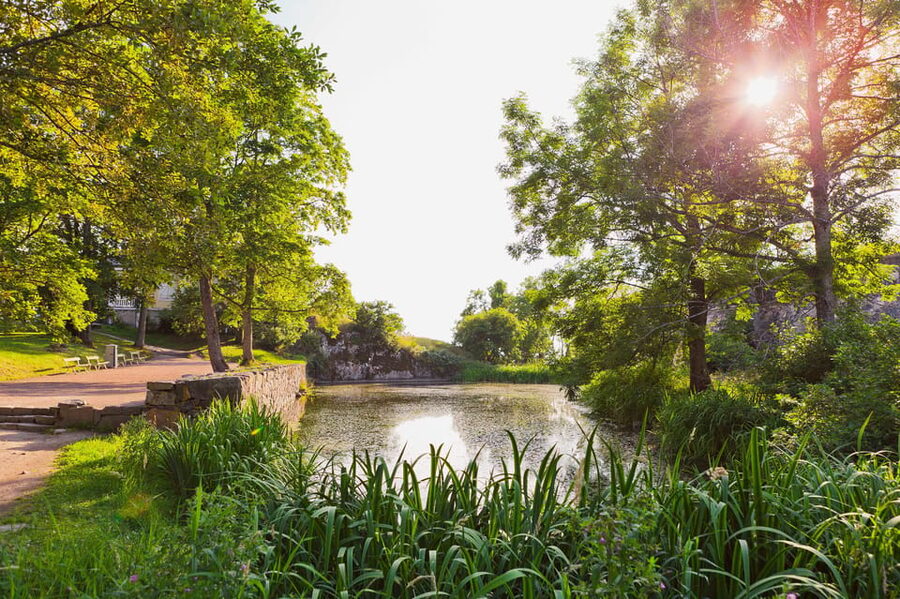 Helsinki: Suomenlinna and Lonna Hop-on Hop-off Cruise - Who should book this cruise?