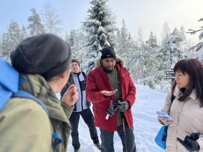 Helsinki: Winter Wonderland Liesjärvi National Park Hike - Key points to know before booking