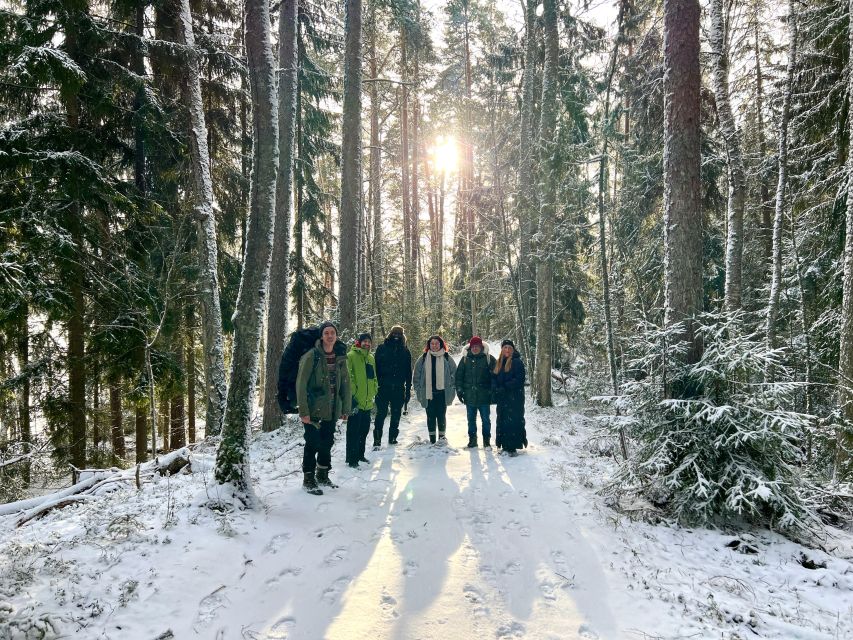 Helsinki: Winter Wonderland Liesjärvi National Park Hike - The return walk and the quietest part of the day