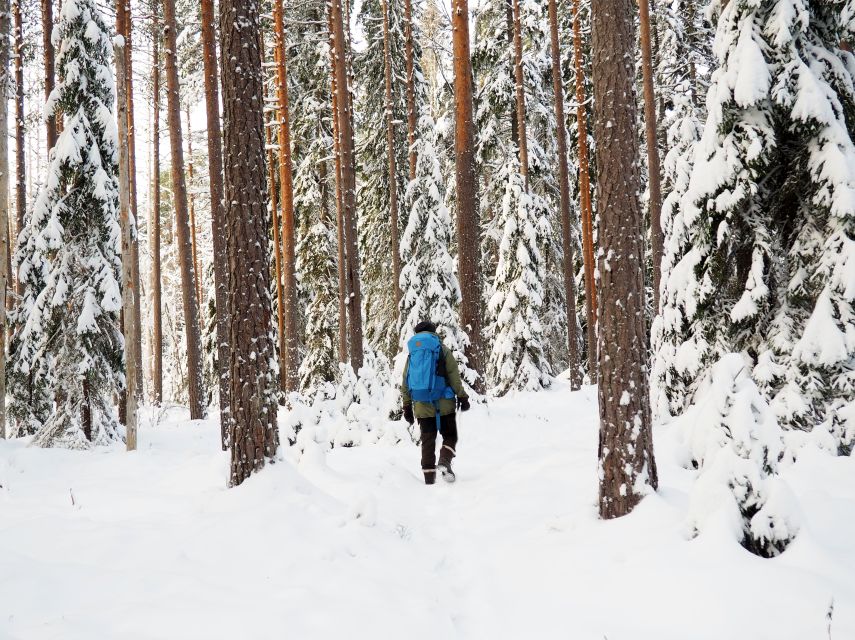 Helsinki: Winter Wonderland Liesjärvi National Park Hike - Winter clothing, boots, and trail comfort