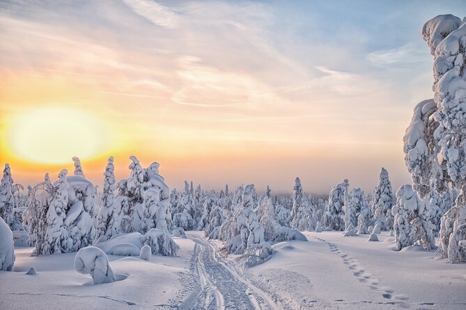 Hike to Frozen Waterfalls of Korouoma Including BBQ Lunch from Rovaniemi - Who will enjoy this most