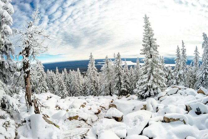 Hike to Frozen Waterfalls of Korouoma Including BBQ Lunch from Rovaniemi - Price, timing, and booking advice