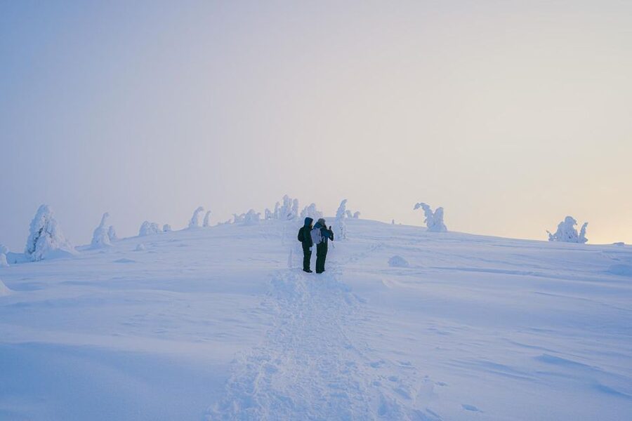 Hiking in Riisitunturi National Park with Photographer - Key things to know before you book