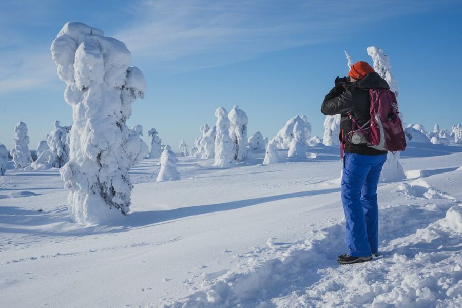 Hiking in Riisitunturi National Park with Photographer - Practical advice for making the day better