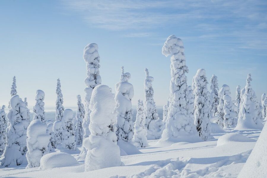 Hiking in Riisitunturi National Park with Photographer - A five-kilometre winter hike