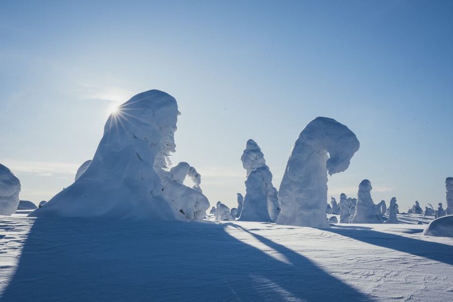 Hiking in Riisitunturi National Park with Photographer - Photography help that adds real value