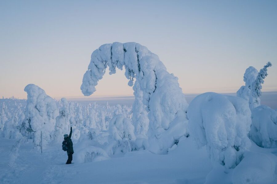 Hiking in Riisitunturi National Park with Photographer - The van ride from Rovaniemi